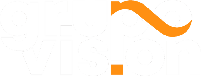Grupo Vision